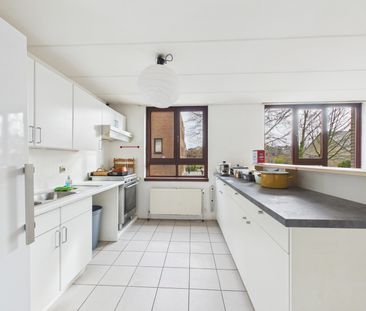 PML – Citronelle 81 - Photo 4