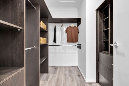 11 Pleasance Street, Box Hill NSW 2765 - House For Rent | Domain - Photo 3