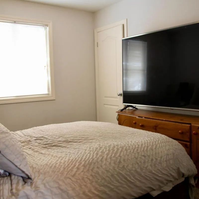 803 WILD ROSE LANE - Photo 1