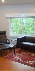 Bright Top Floor Furnished Apartment in Douglas Park Area #164 - Photo 4