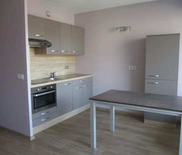 Location Appartement 1 pièce 31m² ANNECY 74000 - Photo 3