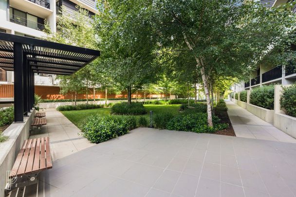 Contemporary 2 bedroom apartment with expansive outdoor living - Photo 1