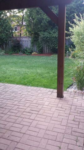 For Lease - 18 Sandfield Drive Unit# Basement, Aurora, Ontario - Photo 4