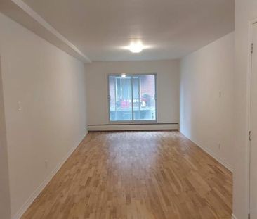 1 CH - 1 SDB - Laval - $1,100 /mo - Photo 1