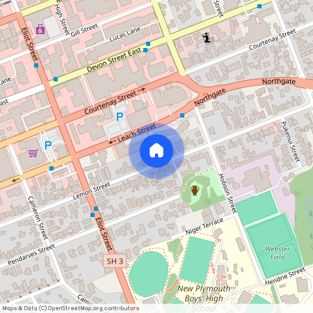 117 Lemon Street, New Plymouth Central, New Plymouth