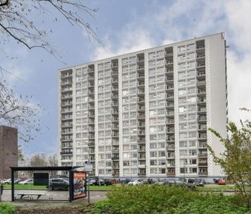 Apartment Haarlem - Van Leeuwenhoekstraat - Photo 1