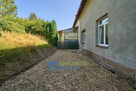 Slunný byt 3+kk po celkové renovaci s předzahrádkou v obci Stará Paka – ihned k pronájmu - Fotografie 4