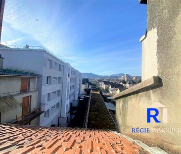 Location Appartement 1 pièce 22m² GRENOBLE 38100 - Photo 3