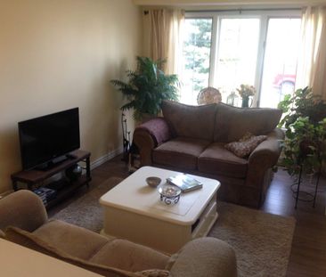 881 Beaconhill Court - 3 bed, 1.5 bath - Photo 3