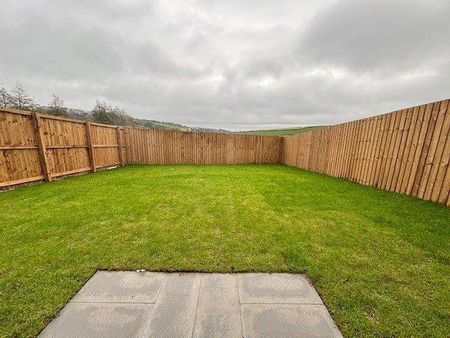 3 bedroom semi-detached house to rent - Photo 5