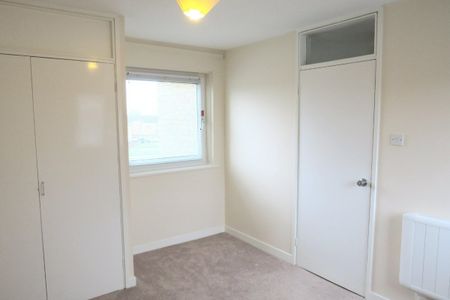 Hawthorne Lane - Photo 3