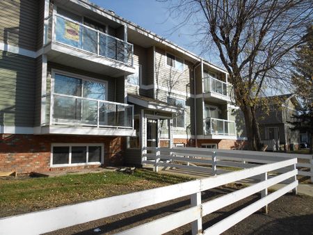 SMALL PET FRIENDLY!! Family Friendly unit. Gorgeous Views! - Photo 5