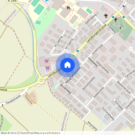 Lenzburgerstr, 55, 5507 Mellingen