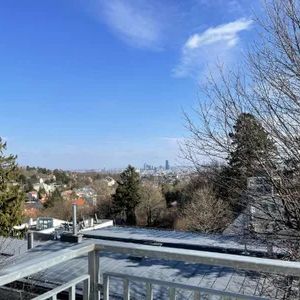 PENTHOUSE LIVING - OHNE LIFT - ATEMBERAUBENDER WIENBLICK - DREI RIESEN TERRASSEN! - Foto 2