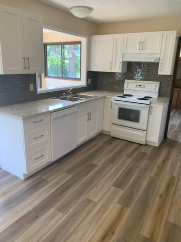 4 Bed 2 Bathroom Home: Avail April 1 - Photo 4