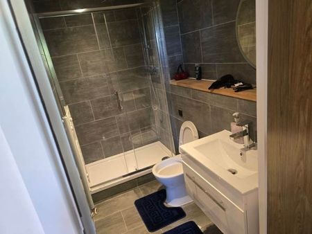 Studio Flat, Astral House, SW16 - Photo 3