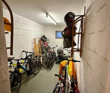 Erstbezug nach Sanierung – charmante 3-R-Gartenwohnung mit Terrasse... - Photo 2