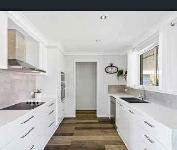 Renovated Home - Includes Electricity - Photo 2