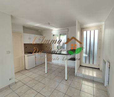 Location Appartement 2 pièces 33m² CHAVANAY 42410 - Photo 3