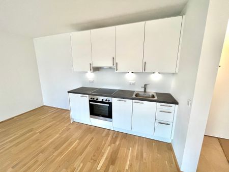 Ruhige DG-2-Zimmer-Wohnung mit Balkon in 1210 Wien zu mieten - Photo 2