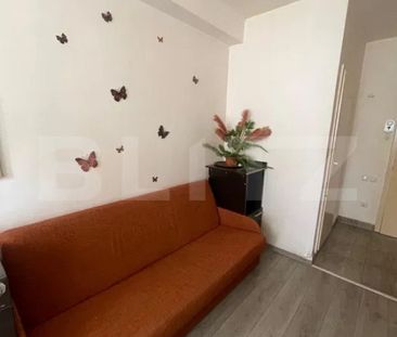 Garsoniera , pet friendly, zona strazii Lombului - Fotografie 2
