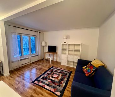 Appartement à Montréal (Le Plateau-Mont-Royal) - Photo 2