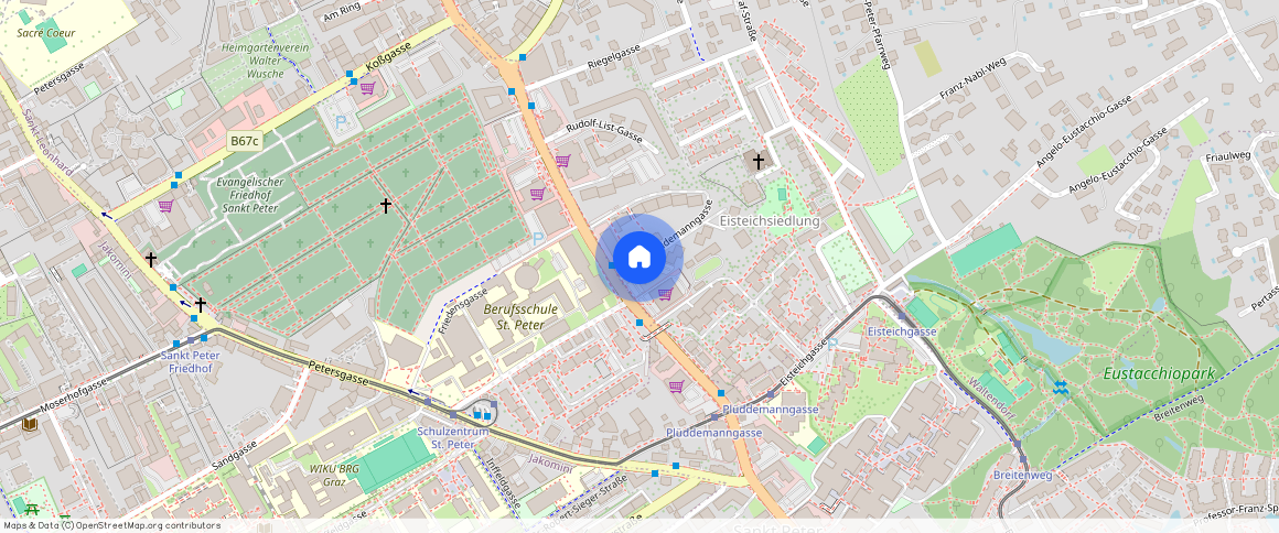 Plüddemanngasse, 8010 Graz