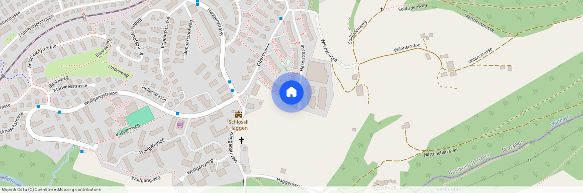 Haselstrasse 22, 9014 St. Gallen