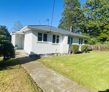 Renovated 3 bedroom home - Large Garage! - Photo 2