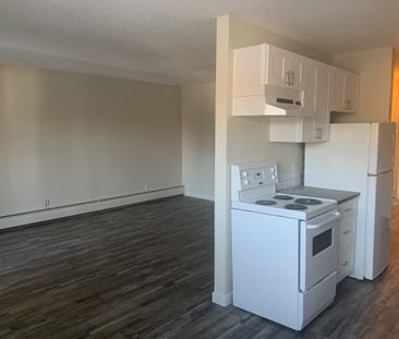 2 BEDROOM ON THE 3RD FLOOR!! DOWNTOWN RED DEER!! - Photo 4