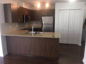 $2,450 / 2br – 891ft2 – The townhouse is located at the heart of Langley (QA20) - Photo 3