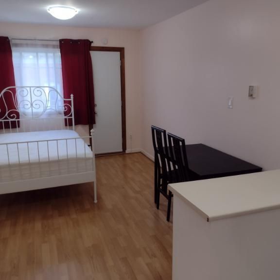 1 1/2 - Montréal (Le Plateau Mont-Royal) - 1 250 $/mois - Photo 1