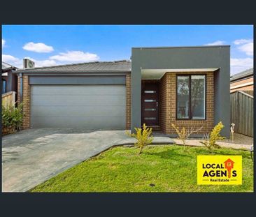 Modern Family Home for Lease in Mickleham !!!$560 PW Bond $2433 - Photo 6