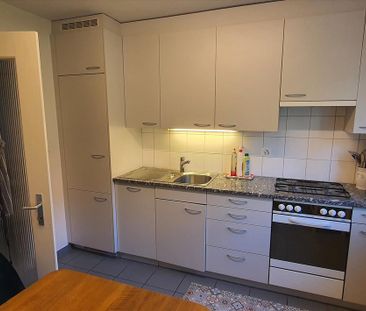 "Am Fusse der Rebbergen von Uster" - Foto 2