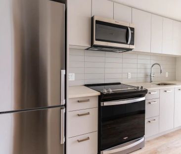 The Nelson — 1 Bed + 1 Bath | B6 - Photo 3