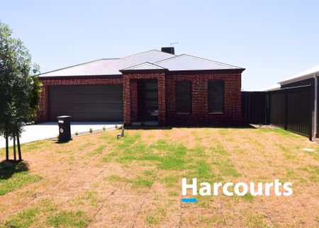 Brand New Lifestyle - Photo 5