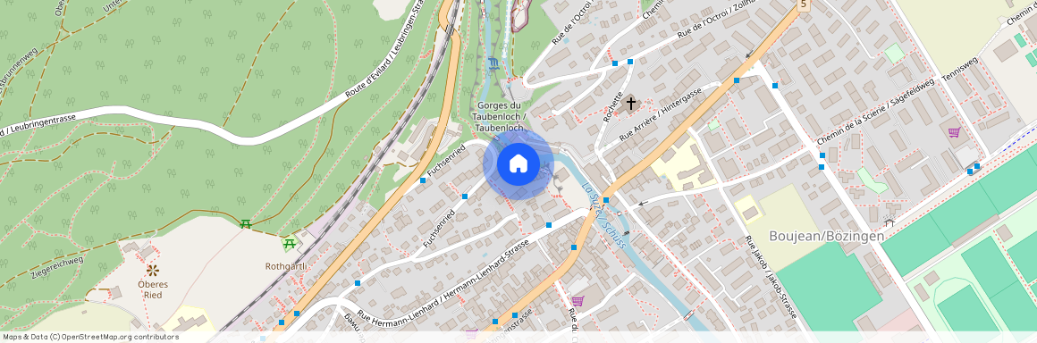 2504, Biel, Rue Hermann-Lienhard / Hermann-Lienhard-Strasse, 55