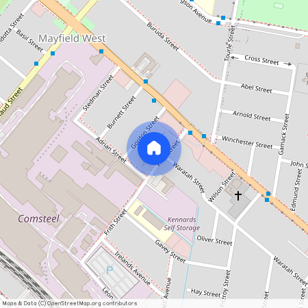 13 Frith Street, Mayfield NSW 2304