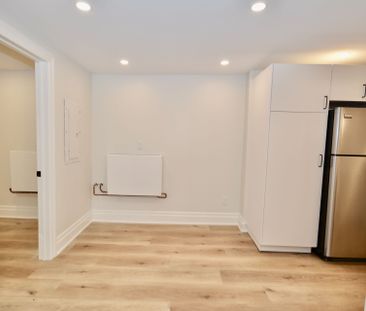 For Lease - 17 Inverness Avenue Unit# LOWER, Hamilton, Ontario - Photo 3