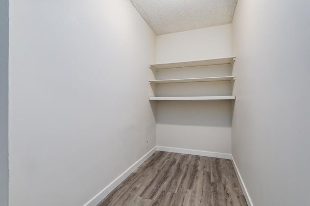 1 Bedroom - Photo 1