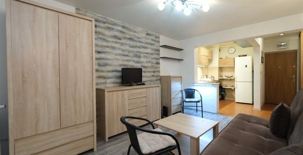 Sosnowiec, Centrum Mieszkanie na wynajem - Photo 1