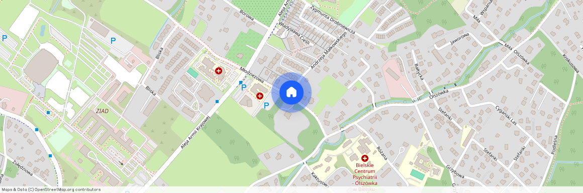 ul. Młodzieżowa, Olszówka, Mikuszowice Śląskie, Bielsko-Biała, śląskie