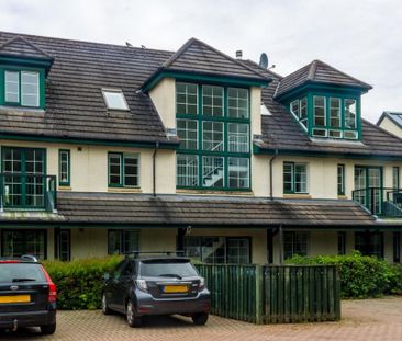 3 bedroom apartment to rent - Photo 6