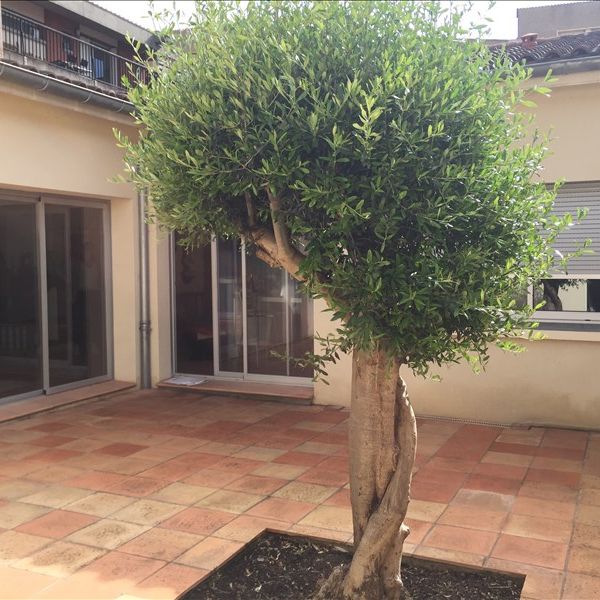 Maison TOULOUSE - 4 pièce(s) - 143 m2, - Photo 1