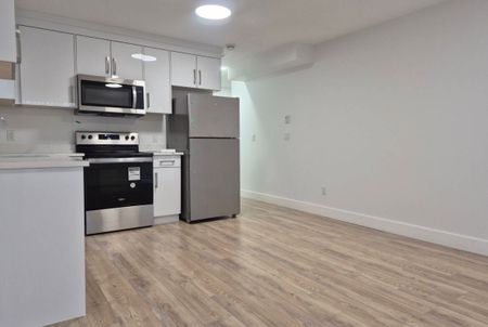 2715 201 St, Langley (Basement 2) - Photo 3