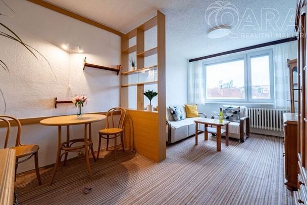 Pronájem bytu v Nuslích s výbornou dostupností do centra - Photo 1