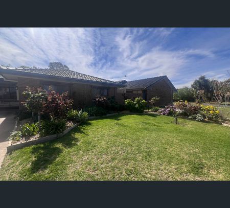 159 Twelfth Street, Mildura, Vic 3500 - Photo 2