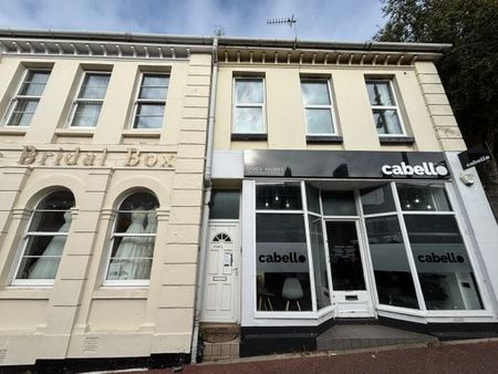 Lucius Street, Torquay, TQ2 - Photo 4