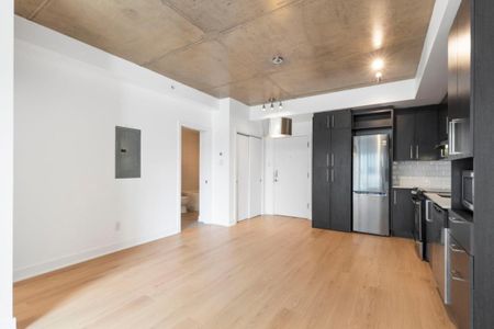 Appartement à louer - Montréal (Ville-Marie) (Centre) - Photo 2