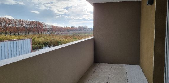 Studio - 25 m² - CASTELNAU-LE-LEZ, - Photo 2